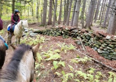 Trail Rides | Vermont Icelandic Horse Farm & Vacation Rental in Waitsfield