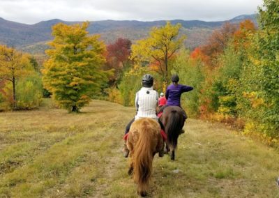 On the Trail | Vermont Icelandic Horse Farm & Vacation Rental in Waitsfield