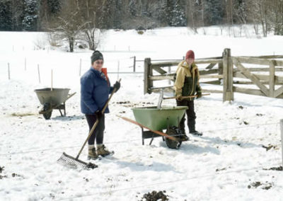 Alice and Wren making executive decisions | Vermont Horse Farm & Vacation Rental in Fayston, Vermont