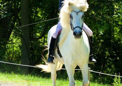 Amelie Riding a Horse | Vermont Icelandic Horse Farm & Lodging in Waitsfield