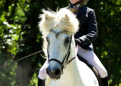 Amelie Riding a Horse | Vermont Icelandic Horse Farm & Lodging in Waitsfield