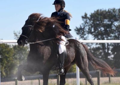 Riding a Horse | Vermont Icelandic Horse Farm & Lodging in Waitsfield