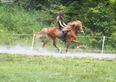 Youth Program | Vermont Icelandic Horse Farm & Lodging in Waitsfield