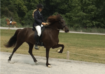 Riding a Horse | Vermont Icelandic Horse Farm & Lodging in Waitsfield