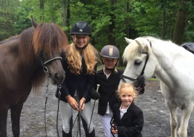 Picture with a Horse | Vermont Icelandic Horse Farm & Lodging in Waitsfield