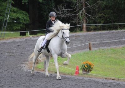 Riding a Horse | Vermont Icelandic Horse Farm & Lodging in Waitsfield