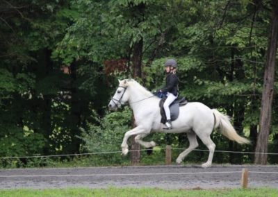 Riding a Horse | Vermont Icelandic Horse Farm & Vacation Rental in Waitsfield