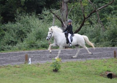 Vermont Icelandic Horse Farm & Vacation Rental in Waitsfield