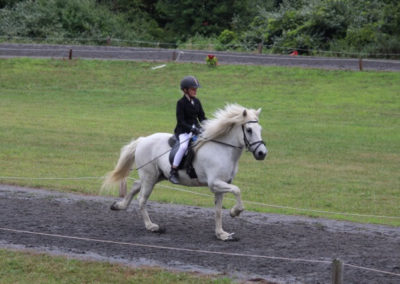 Vermont Icelandic Horse Farm & Vacation Rental in Waitsfield