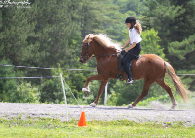 Youth Program | Vermont Icelandic Horse Farm & Lodging in Waitsfield