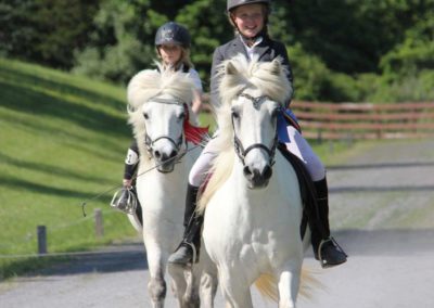 Vermont Icelandic Horse Farm & Vacation Rental in Waitsfield