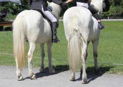 Youth Program Riding a Horse | Vermont Icelandic Horse Farm & Vacation Rental in Waitsfield