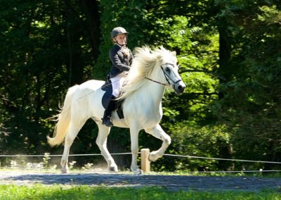 Youth Program Riding a Horse | Vermont Icelandic Horse Farm & Vacation Rental in Waitsfield