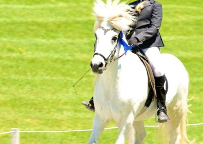 Youth Program Riding a Horse | Vermont Icelandic Horse Farm & Vacation Rental in Waitsfield