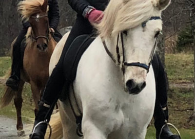 Youth Program Riding a Horse | Vermont Icelandic Horse Farm & Vacation Rental in Waitsfield