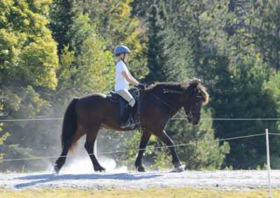 Youth Program | Vermont Icelandic Horse Farm & Lodging in Waitsfield