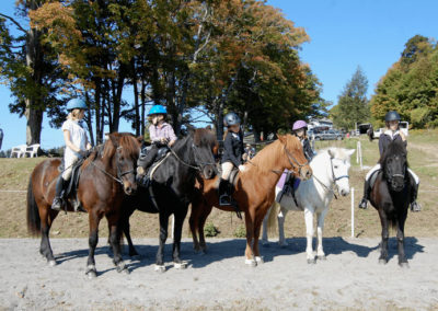 Youth Program | Vermont Icelandic Horse Farm & Lodging in Waitsfield