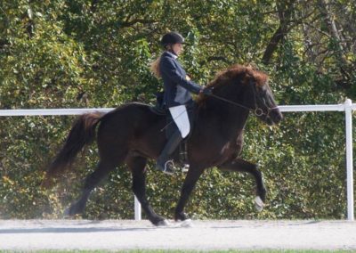 Youth Program Riding a Horse | Vermont Icelandic Horse Farm & Vacation Rental in Waitsfield