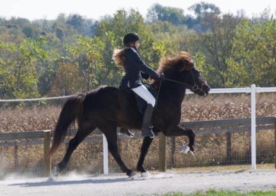 Youth Program Riding a Horse | Vermont Icelandic Horse Farm & Vacation Rental in Waitsfield
