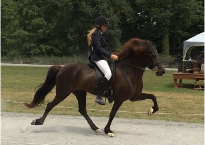 Youth Program Riding a Horse | Vermont Icelandic Horse Farm & Vacation Rental in Waitsfield