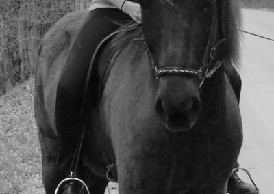 Black and White Riding a Horse | Vermont Icelandic Horse Farm & Vacation Rental in Waitsfield