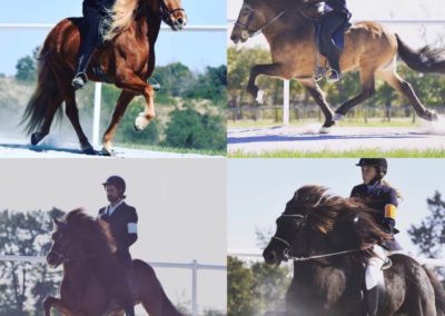 Riding a Horse | Vermont Icelandic Horse Farm & Lodging in Waitsfield