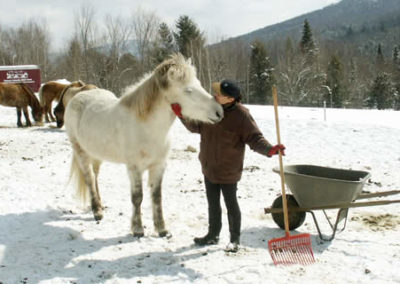 JoAnna with Elska, her pride and joy | Vermont Horse Farm & Vacation Rental in Fayston, Vermont