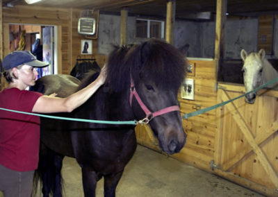 Karen and Horse | Vermont Icelandic Horse Farm & Vacation Rental in Waitsfield