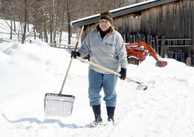 Kim's Just Come Back from looking after the Youngsters | Vermont Horse Farm & Vacation Rental in Fayston, Vermont