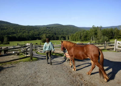 Horse Farm | Vermont Horse Farm & Vacation Rental in Fayston, Vermont