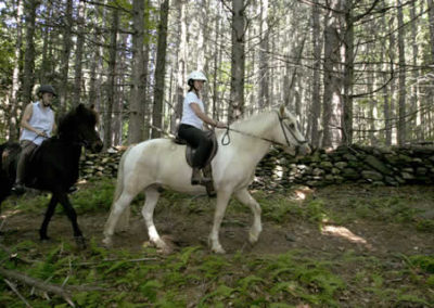 Riding a Horse | Vermont Icelandic Horse Farm & Lodging in Waitsfield