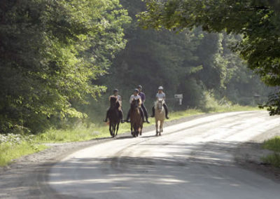 Trail Rides | Vermont Icelandic Horse Farm & Vacation Rental in Waitsfield