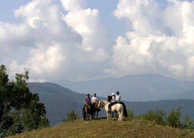 Treks | Vermont Icelandic Horse Farm & Vacation Rental in Waitsfield