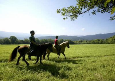 Trail Ride | Vermont Horse Farm & Vacation Rental in Fayston, Vermont