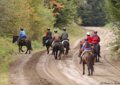 Trail Ride | Vermont Horse Farm & Vacation Rental in Fayston, Vermont