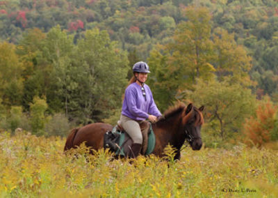 Trail Ride | Vermont Horse Farm & Vacation Rental in Fayston, Vermont