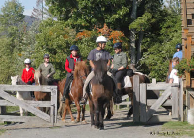Riding a Horse | Vermont Horse Farm & Vacation Rental in Fayston, Vermont