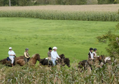 Trail Rides | Vermont Horse Farm & Vacation Rental in Fayston, Vermont
