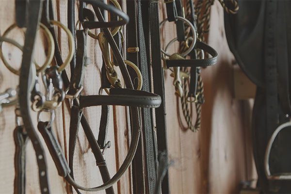 Tack For Sale | Vermont Icelandic Horse Farm & Lodging in Waitsfield