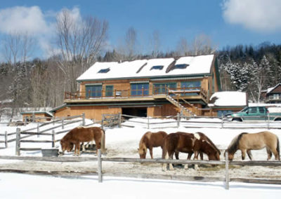 Winter Horse Farm | Vermont Horse Farm & Vacation Rental in Fayston, Vermont