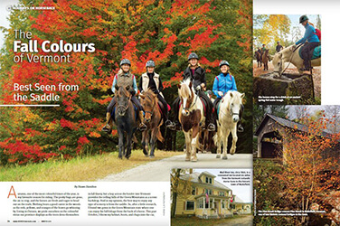 Press & Photos | Vermont Icelandic Horse Farm & Lodging in Waitsfield