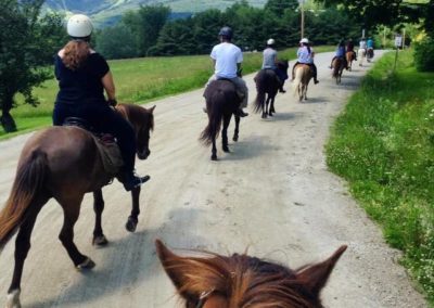 On the Trail | Vermont Icelandic Horse Farm & Lodging in Waitsfield